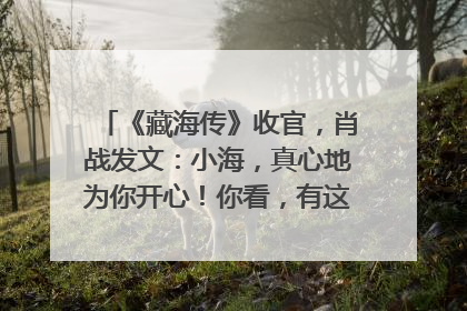 《藏海传》收官，肖战发文：小海，真心地为你开心！你看，有这么多人懂你！