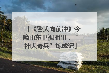 《警犬向前冲》今晚山东卫视播出，“神犬奇兵”炼成记