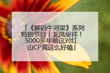 《解码牛河梁》系列特别节目丨龙凤呈祥！5000多年前这对红山CP竟这么好嗑
