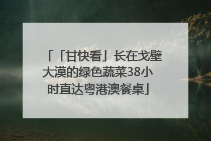 「甘快看」长在戈壁大漠的绿色蔬菜38小时直达粤港澳餐桌