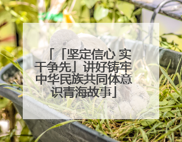 「坚定信心 实干争先」讲好铸牢中华民族共同体意识青海故事