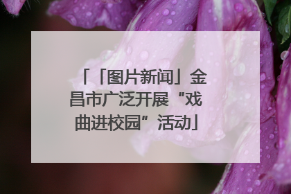 「图片新闻」金昌市广泛开展“戏曲进校园”活动