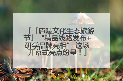 「庐陵文化生态旅游节」“精品线路发布+研学品牌亮相” 这场开幕式亮点纷呈！
