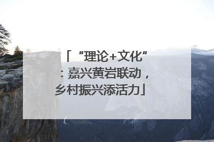 “理论+文化”：嘉兴黄岩联动，乡村振兴添活力