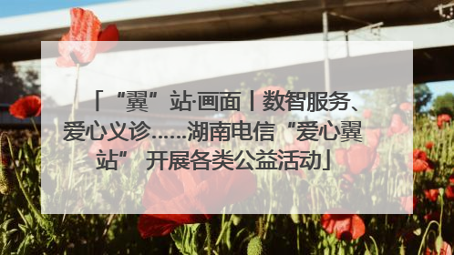 “翼”站·画面丨数智服务、爱心义诊……湖南电信“爱心翼站” 开展各类公益活动