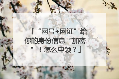 “网号+网证”给你的身份信息“加密”！怎么申领？