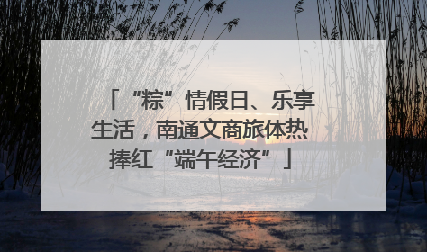 “粽”情假日、乐享生活，南通文商旅体热捧红“端午经济”
