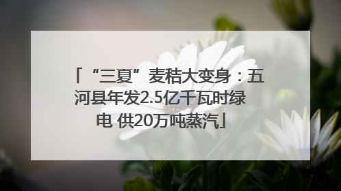 “三夏”麦秸大变身：五河县年发2.5亿千瓦时绿电 供20万吨蒸汽