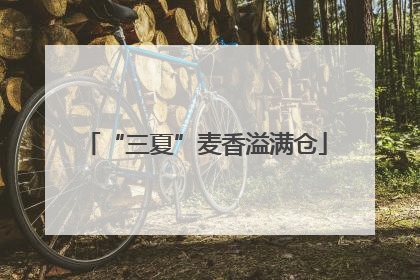 “三夏”麦香溢满仓