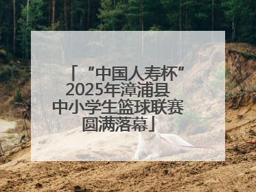 “中国人寿杯”2025年漳浦县中小学生篮球联赛圆满落幕