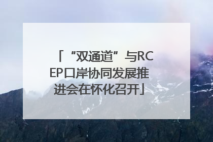 “双通道”与RCEP口岸协同发展推进会在怀化召开