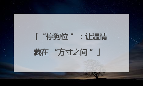 “停狗位 ”：让温情藏在 “方寸之间 ”
