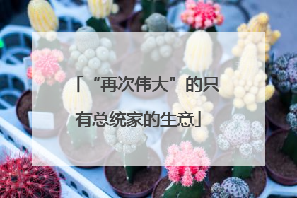 “再次伟大”的只有总统家的生意