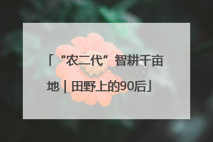 “农二代”智耕千亩地｜田野上的90后