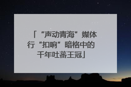 “声动青海”媒体行“扣响”暗格中的千年吐蕃王冠