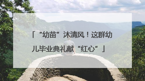 “幼苗”沐清风！这群幼儿毕业典礼献“红心”