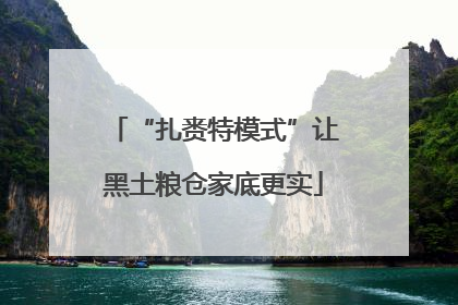 “扎赉特模式”让黑土粮仓家底更实