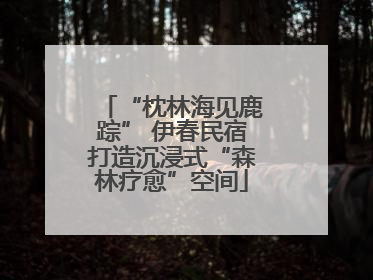 “枕林海见鹿踪” 伊春民宿打造沉浸式“森林疗愈”空间