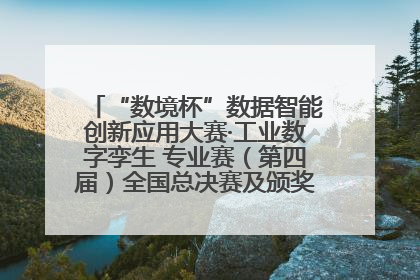 “数境杯”数据智能创新应用大赛·工业数字孪生 专业赛（第四届）全国总决赛及颁奖典礼成功举办