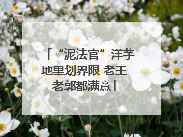 “泥法官”洋芋地里划界限 老王老郭都满意