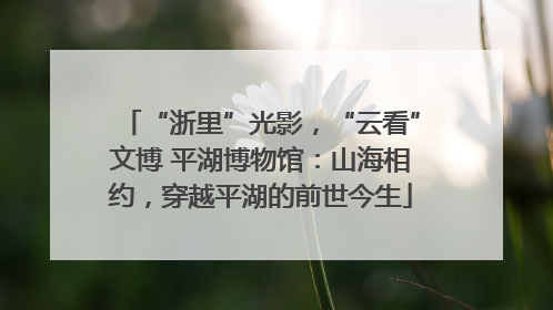 “浙里”光影，“云看”文博 平湖博物馆：山海相约，穿越平湖的前世今生