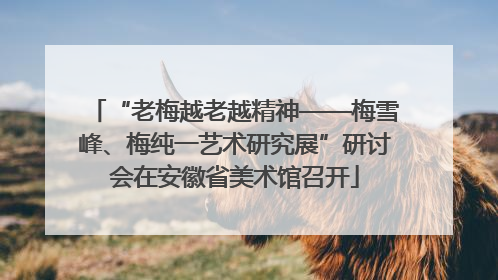 “老梅越老越精神——梅雪峰、梅纯一艺术研究展”研讨会在安徽省美术馆召开