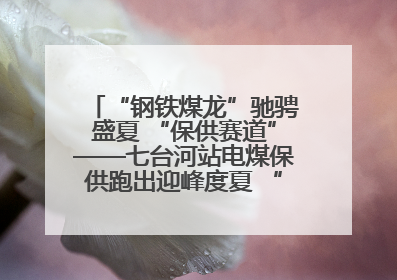 “钢铁煤龙”驰骋盛夏 “保供赛道”——七台河站电煤保供跑出迎峰度夏 “加速度”