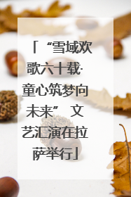 “雪域欢歌六十载·童心筑梦向未来” 文艺汇演在拉萨举行