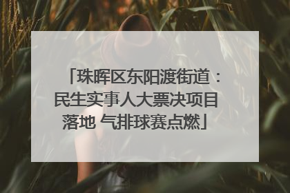 珠晖区东阳渡街道：民生实事人大票决项目落地 气排球赛点燃