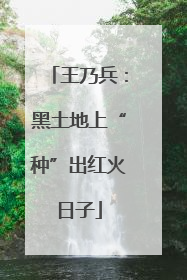 王乃兵：黑土地上“种”出红火日子