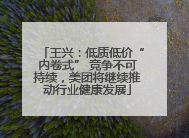 王兴：低质低价“内卷式” 竞争不可持续，美团将继续推动行业健康发展