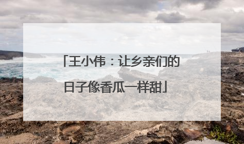 王小伟：让乡亲们的日子像香瓜一样甜