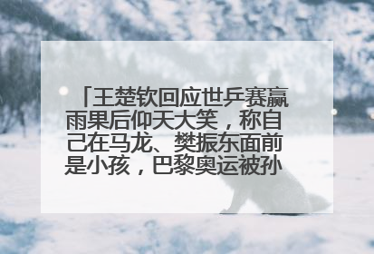王楚钦回应世乒赛赢雨果后仰天大笑，称自己在马龙、樊振东面前是小孩，巴黎奥运被孙颖莎带着打