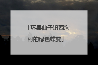 环县曲子镇西沟村的绿色蝶变
