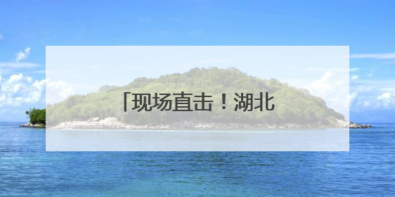 现场直击！湖北竹山护林员实拍国家二级保护动物