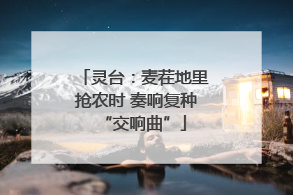 灵台：麦茬地里抢农时 奏响复种“交响曲”