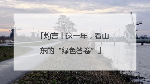 灼言丨这一年，看山东的“绿色答卷”