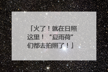 火了！就在日照这里！“夏雨荷”们都去拍照了！
