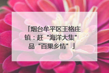 烟台牟平区王格庄镇：赶“海洋大集” 品“百果乡情”