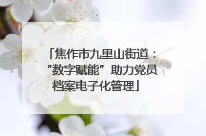 焦作市九里山街道：“数字赋能”助力党员档案电子化管理
