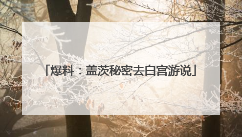 爆料：盖茨秘密去白宫游说