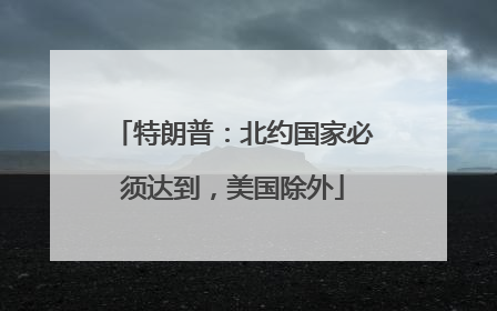 特朗普：北约国家必须达到，美国除外