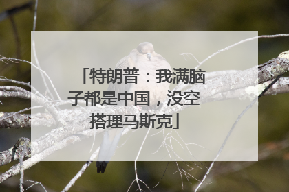 特朗普：我满脑子都是中国，没空搭理马斯克