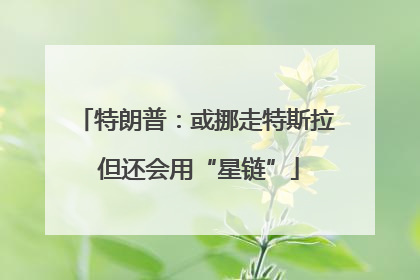 特朗普：或挪走特斯拉 但还会用“星链”