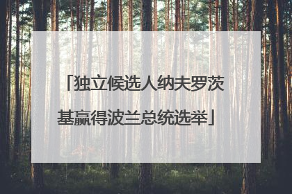 独立候选人纳夫罗茨基赢得波兰总统选举