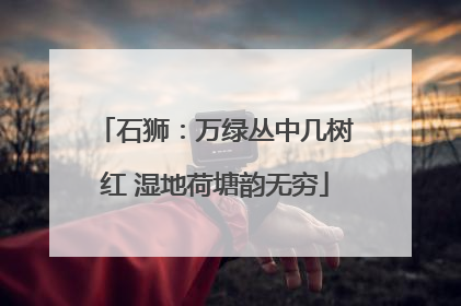 石狮：万绿丛中几树红 湿地荷塘韵无穷