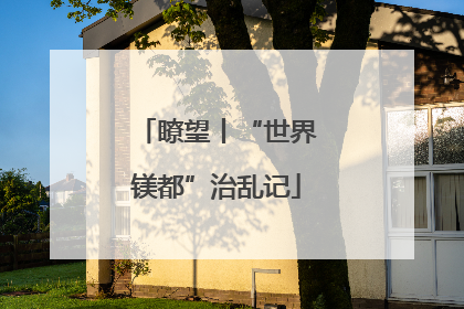 瞭望丨“世界镁都”治乱记