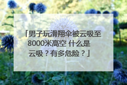 男子玩滑翔伞被云吸至8000米高空 什么是云吸？有多危险？