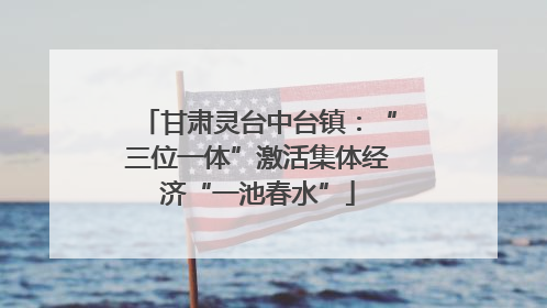 甘肃灵台中台镇：“三位一体”激活集体经济“一池春水”