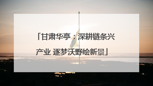 甘肃华亭：深耕链条兴产业 逐梦沃野绘新景